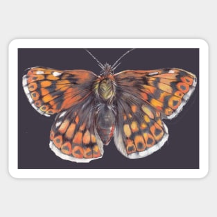 Duke of Burgundy Sticker